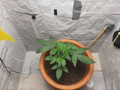 foto_no_exif (1).jpg