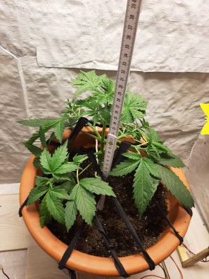 foto_no_exif (1).jpg