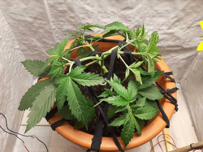 foto_no_exif (3).jpg