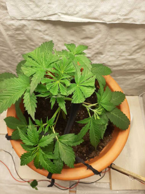 foto_no_exif (4).jpg