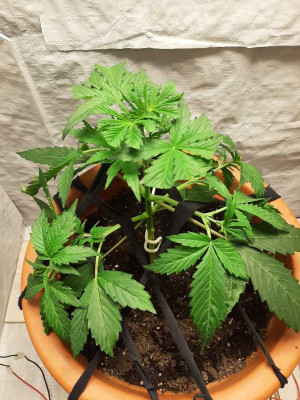 foto_no_exif (5).jpg