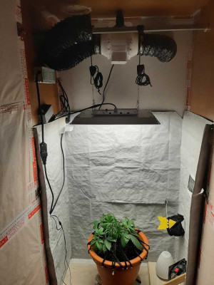 foto_no_exif (8).jpg