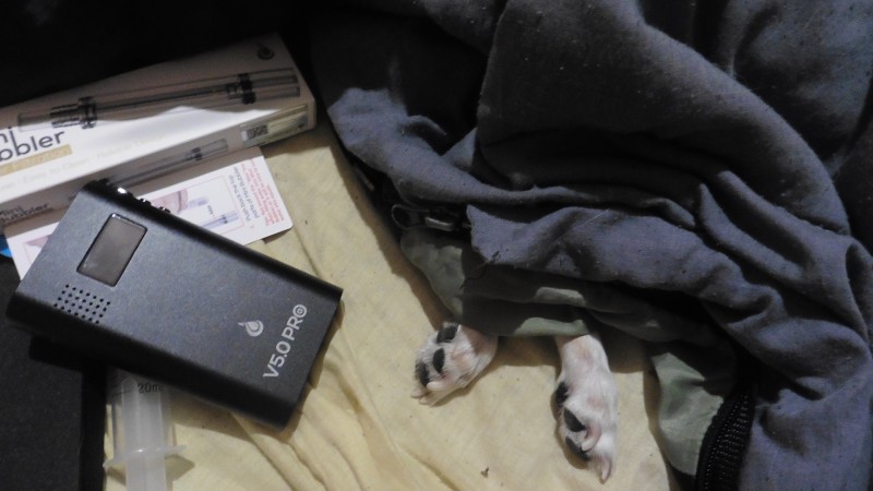 P1010117.JPG