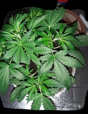 foto_no_exif (2).jpg