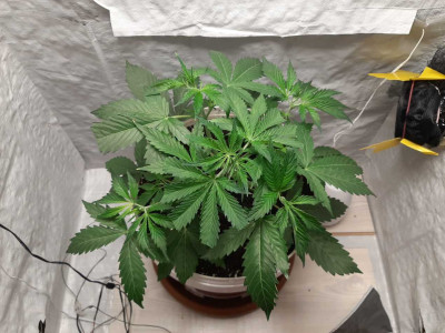 foto_no_exif (3).jpg