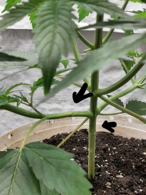 foto_no_exif (4).jpg