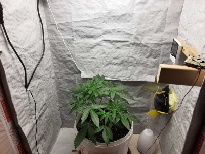 foto_no_exif (5).jpg