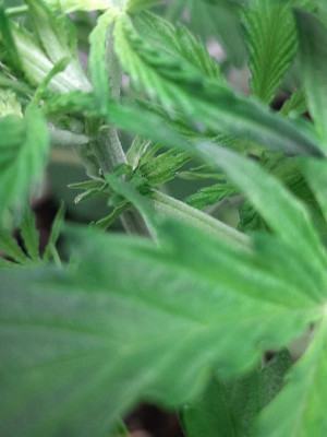 foto_no_exif (6).jpg