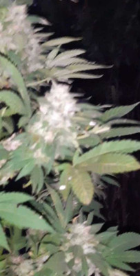 VideoCapture_20231012-104110.jpg