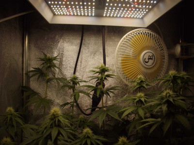 foto_no_exif(3)-min.jpg