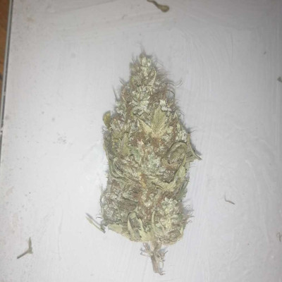 foto_no_exif (9)-min.jpg