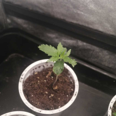 foto_no_exif (34)-min.jpg