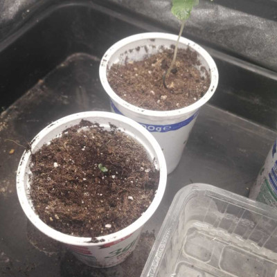 foto_no_exif (33)-min.jpg