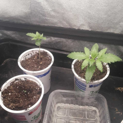 foto_no_exif (20)-min.jpg