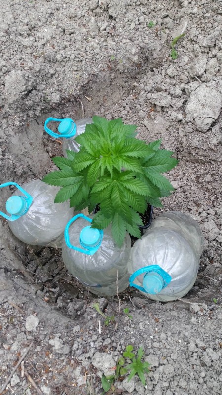 20190430_184708-min.jpg