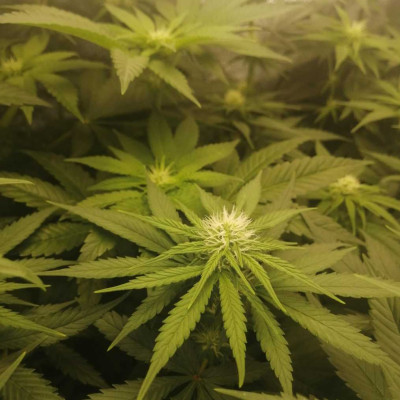 foto_no_exif (42)-min.jpg