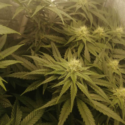 foto_no_exif (38)-min.jpg