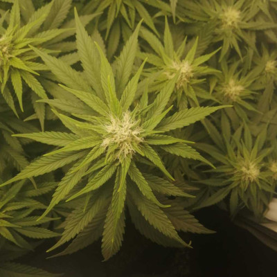 foto_no_exif (43)-min.jpg