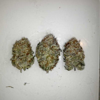 Purple Punch
