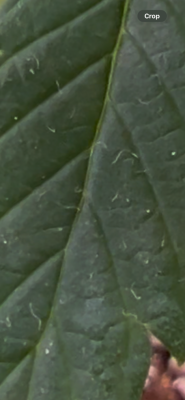 IMG_0603.png
