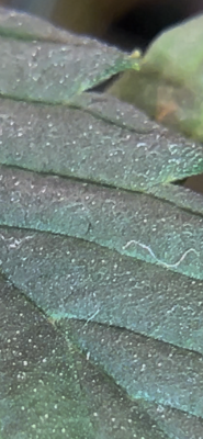 IMG_0641.png