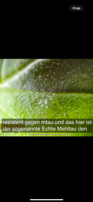 IMG_0709.png