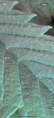 IMG_0711.png