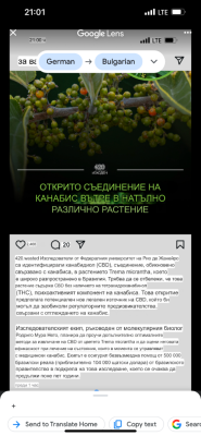 IMG_1301.png