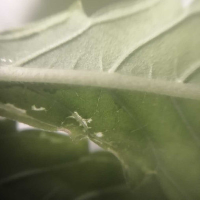 foto_no_exif (77)-min.jpg