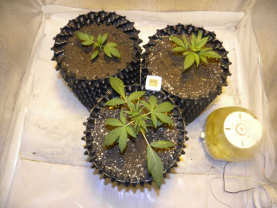 DSCN1527.JPG