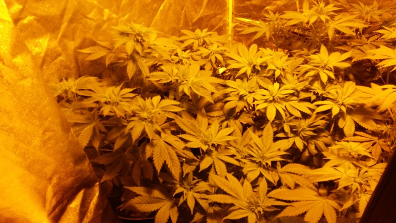 20190421_223331-min.jpg