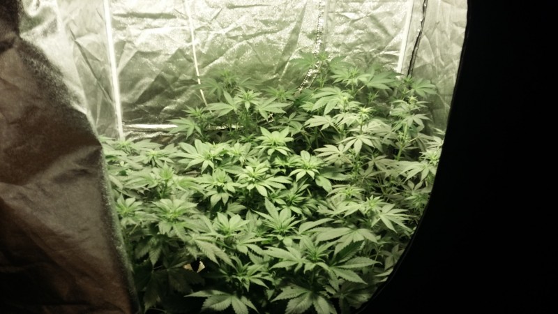 20190421_223406-min.jpg