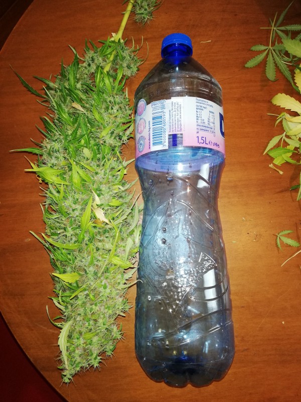 foto_no_exif (1).jpg