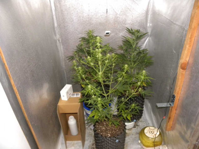 DSCN1578.JPG