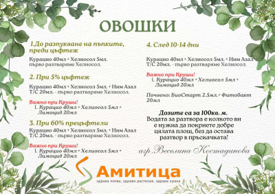 foto_no_exif (6).jpg