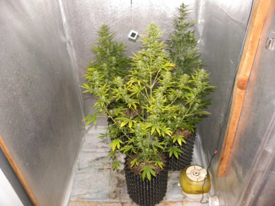 DSCN1635.JPG