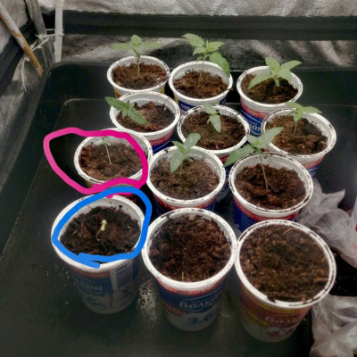 foto_no_exif - 2025-04-26T124901.743-min.jpg