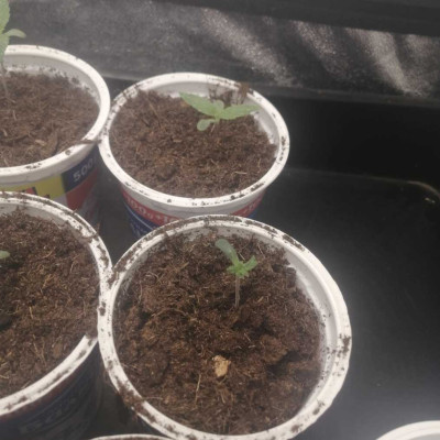 foto_no_exif - 2025-04-26T125139.783-min.jpg