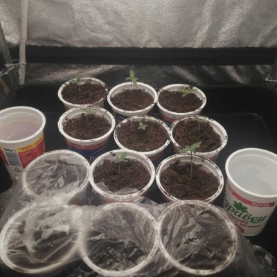 foto_no_exif - 2025-04-26T125116.547-min.jpg