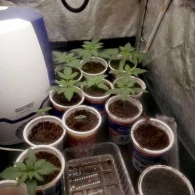 foto_no_exif - 2025-04-30T105030.242-min.jpg