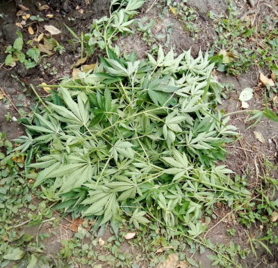 foto_no_exif (121).jpg