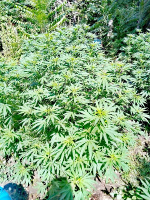 foto_no_exif (131).jpg