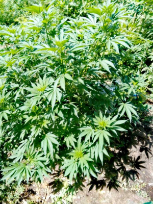 foto_no_exif (132).jpg