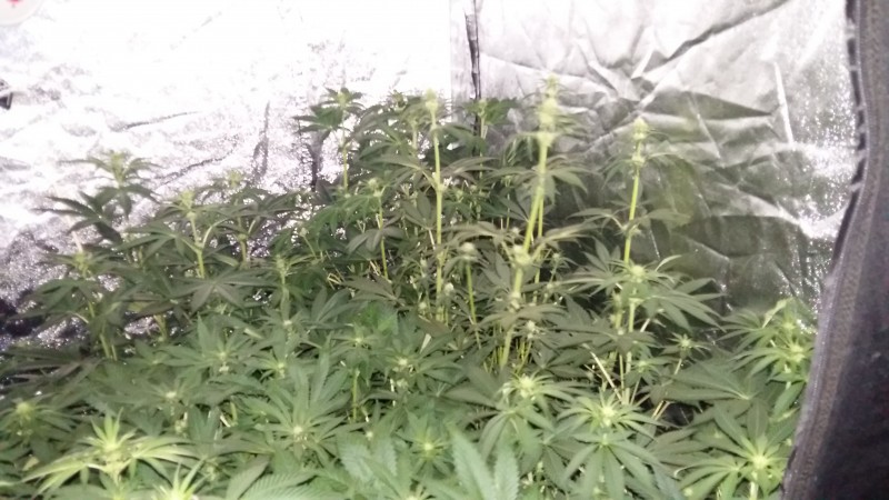 20190428_104227-min.jpg