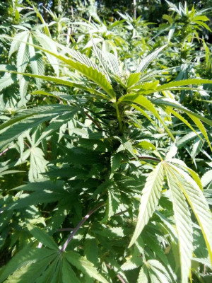 foto_no_exif (183).jpg