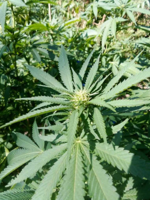 foto_no_exif (185).jpg