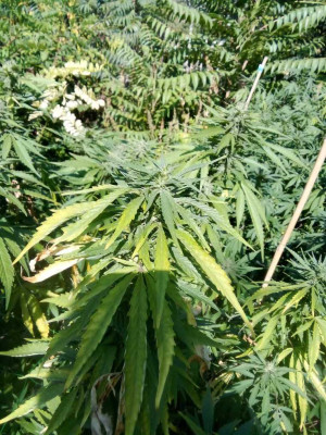 foto_no_exif (186).jpg