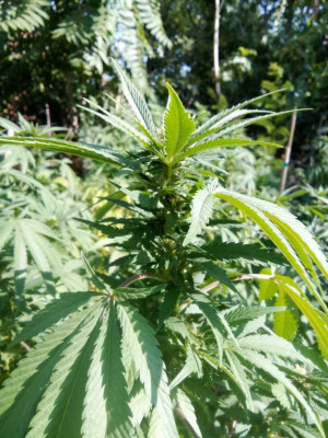 foto_no_exif (175).jpg