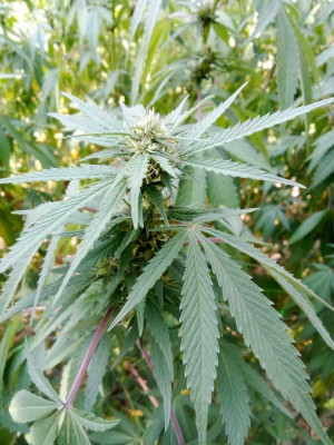 foto_no_exif (187).jpg