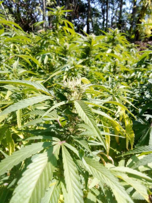 foto_no_exif (188).jpg